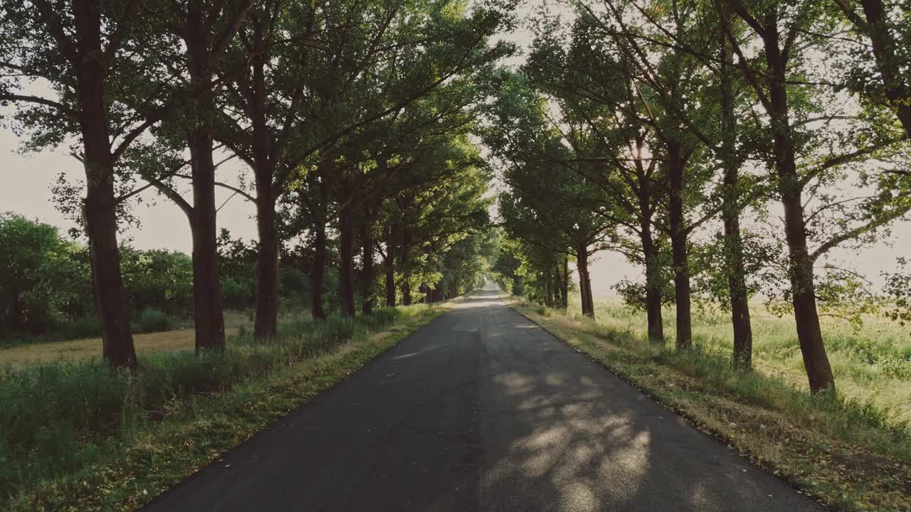 一条绿树成荫的宁静乡村小路，邀您踏上一段自然美景之旅视频下载