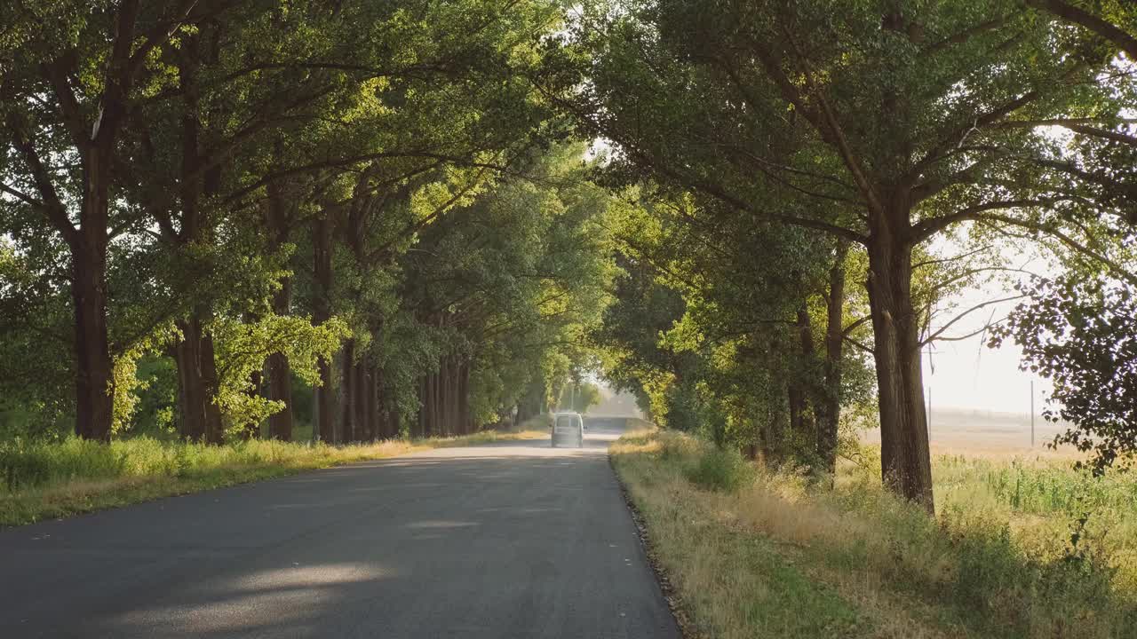 一条美丽蜿蜒的道路，被郁郁葱葱的绿树遮蔽，是宁静逃离的理想选择视频下载