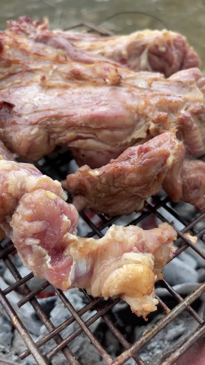 肉烤。视频下载