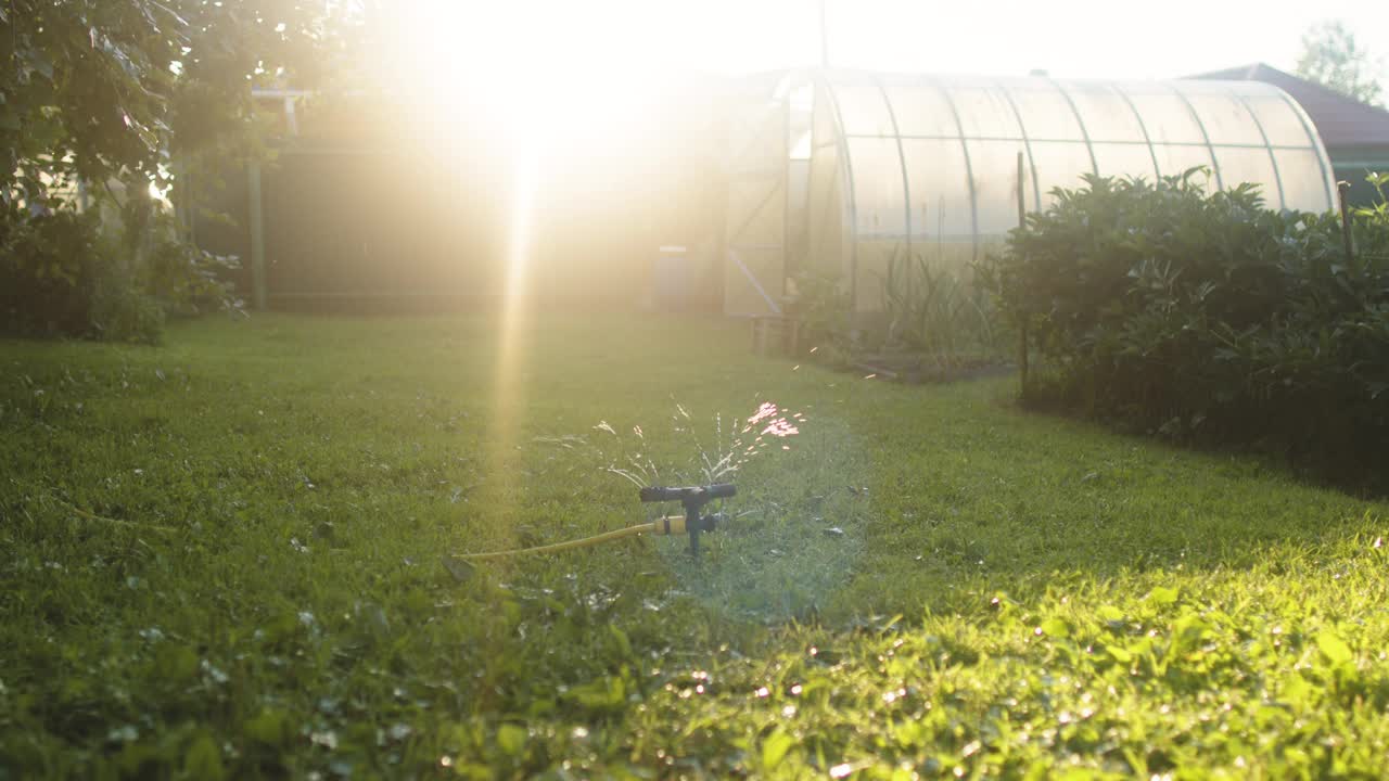 夏日夕阳下后院的洒水器视频素材