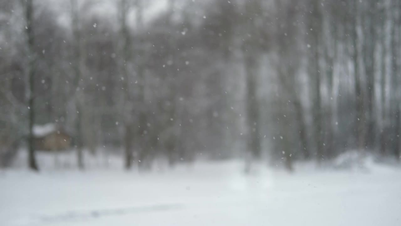 大雪。美丽的森林景观，雪和模糊的树木。轻轻地飘落的雪花。恶劣的下雪天气寒冷的一天。冬季自然背景。没有人，没有人，超级慢动作。暴风雪视频下载