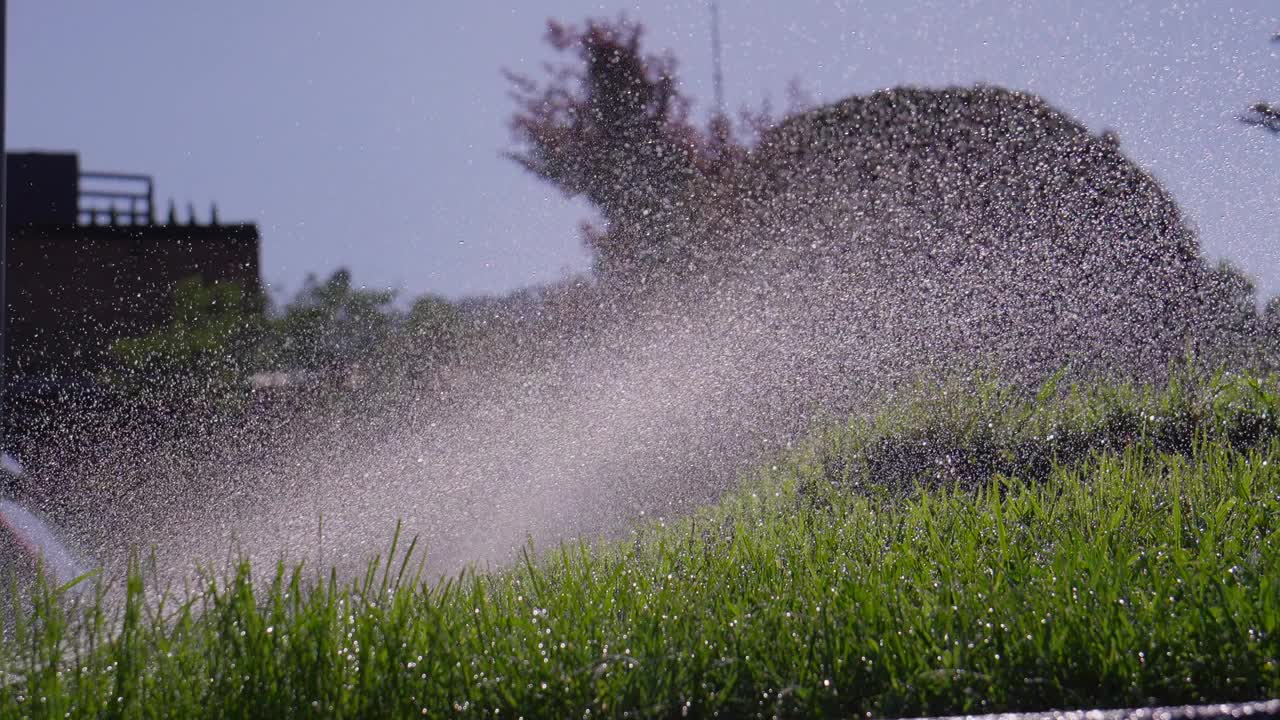 洒水车在城市公园里浇草视频下载