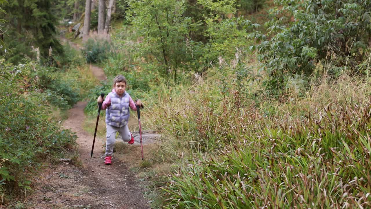 可爱的4岁女孩用登山杖徒步旅行视频下载