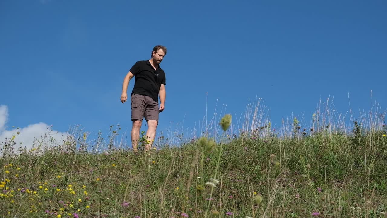 一个人正在跑一座风景优美的小山，山上开满了生机勃勃的野花。一个男人走在山坡上，天空清澈湛蓝。一个男人漫步在草地上，室外的气氛视频下载