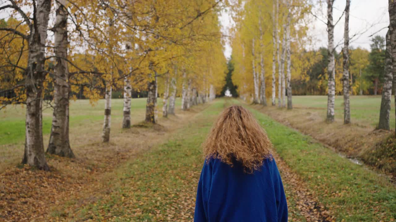 女人走在桦树间的小路上。女孩在自然森林里散步的后视图视频下载