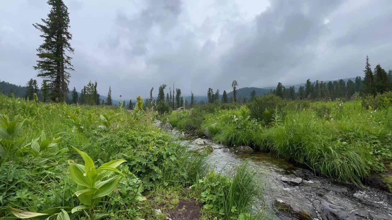 山涧在山峦雾蒙蒙的背景下穿过森林视频下载