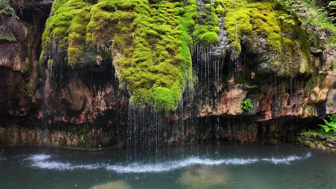 水从长满苔藓的岩石上流过视频下载