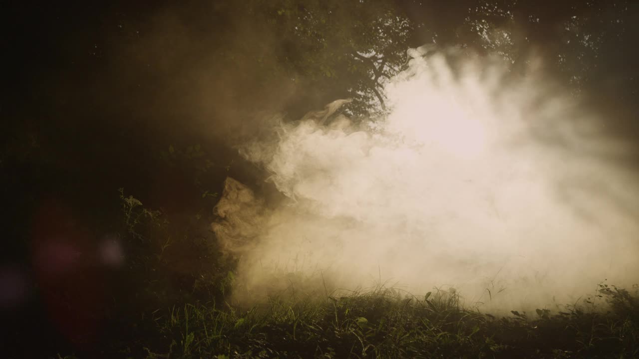 剪影，镜头光晕:早晨，一个无法辨认的女人在雾蒙蒙的森林里奔跑视频素材