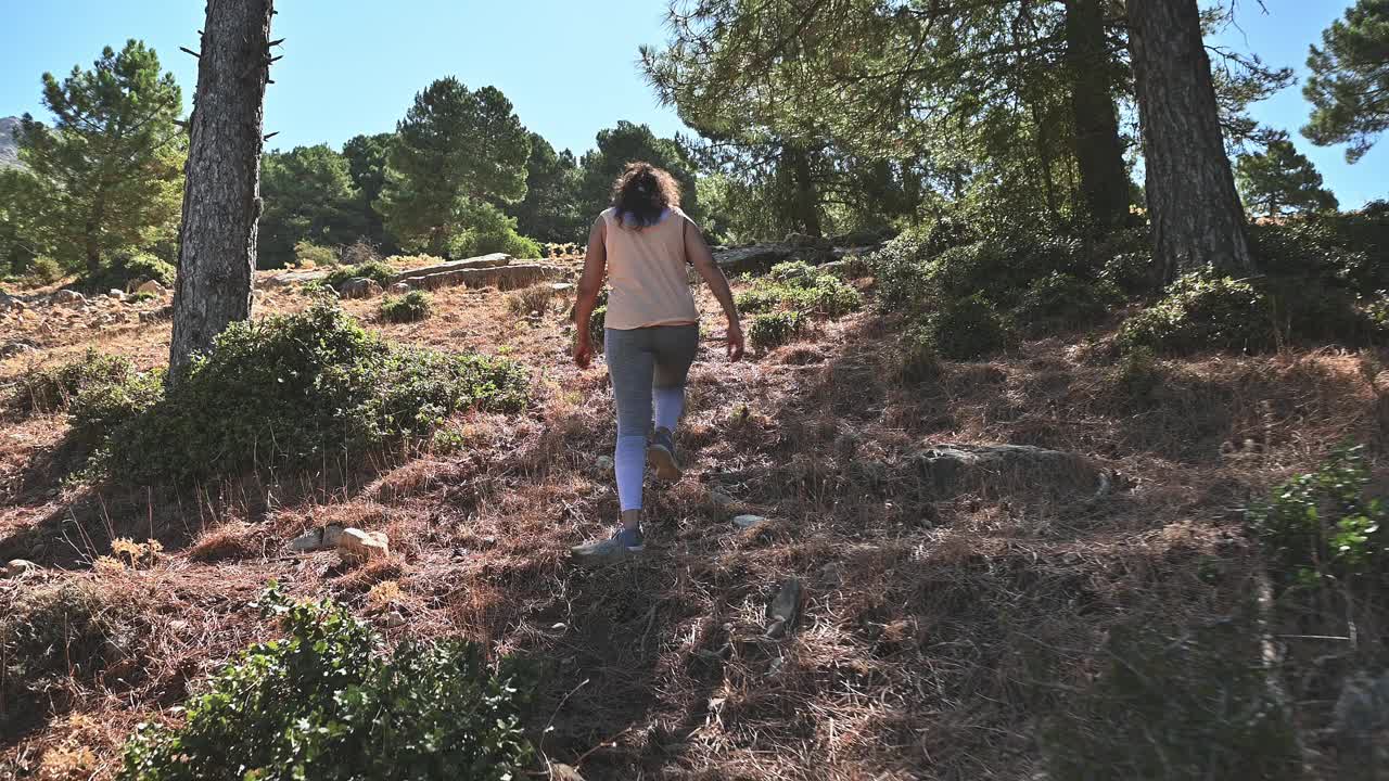 女人在阳光明媚的一天在森林里爬山，周围是树木和自然景观，体现了冒险和户外探索视频素材