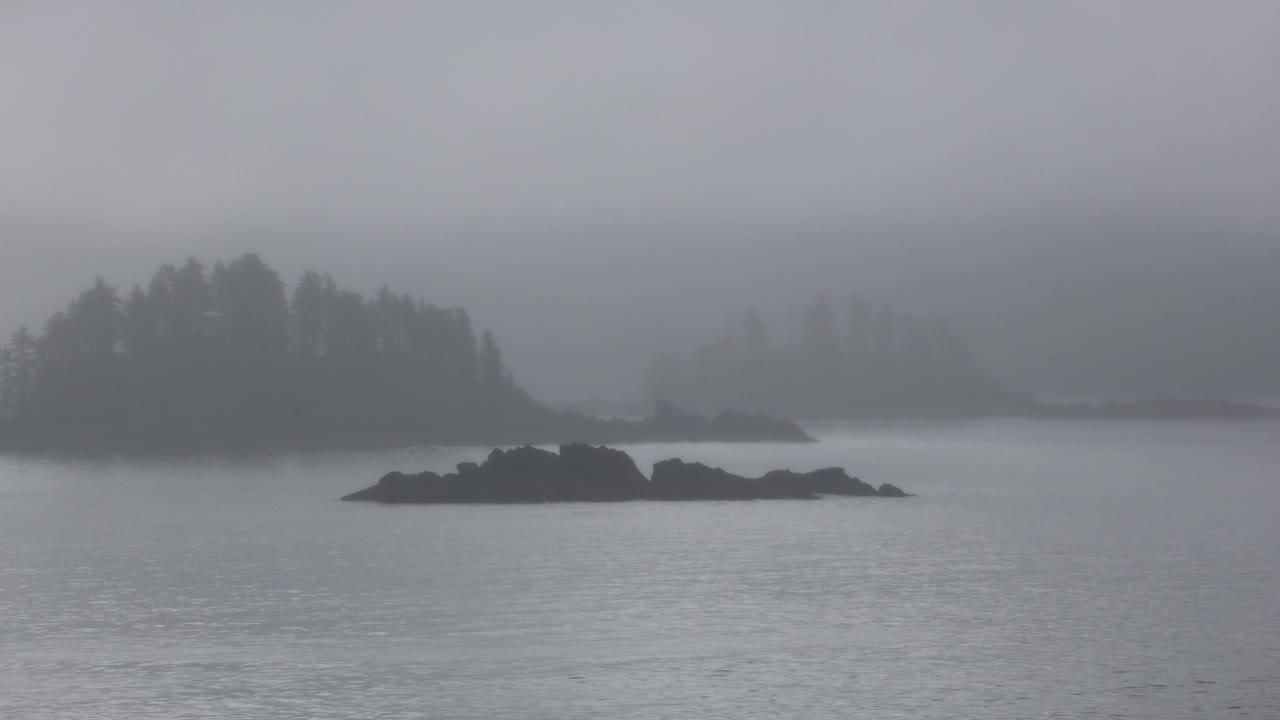 有雾的海，船的雾角声视频素材