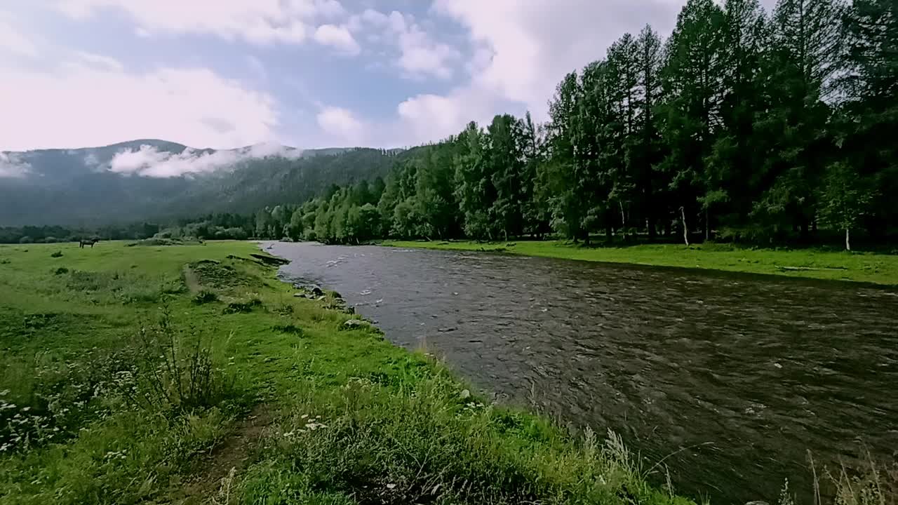 在一个阳光明媚的夏日，一条小河的宽阔河床沿着茂密的针叶林和宽阔的草地流向高高的山脉。视频下载