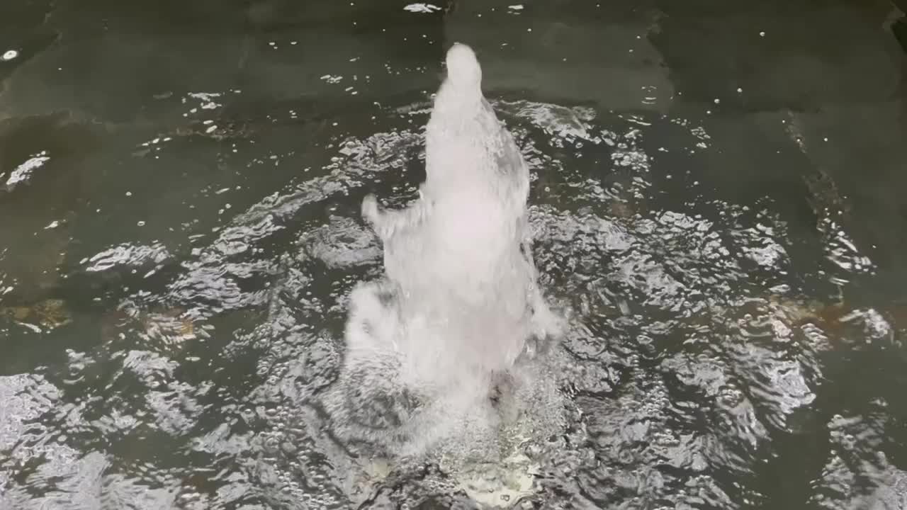 淡水从源头冒出来视频下载