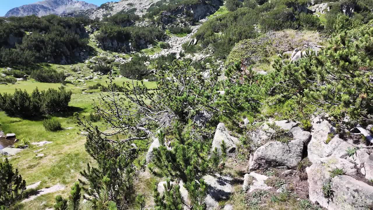 保加利亚皮林山Banderitsa河附近的景观视频下载