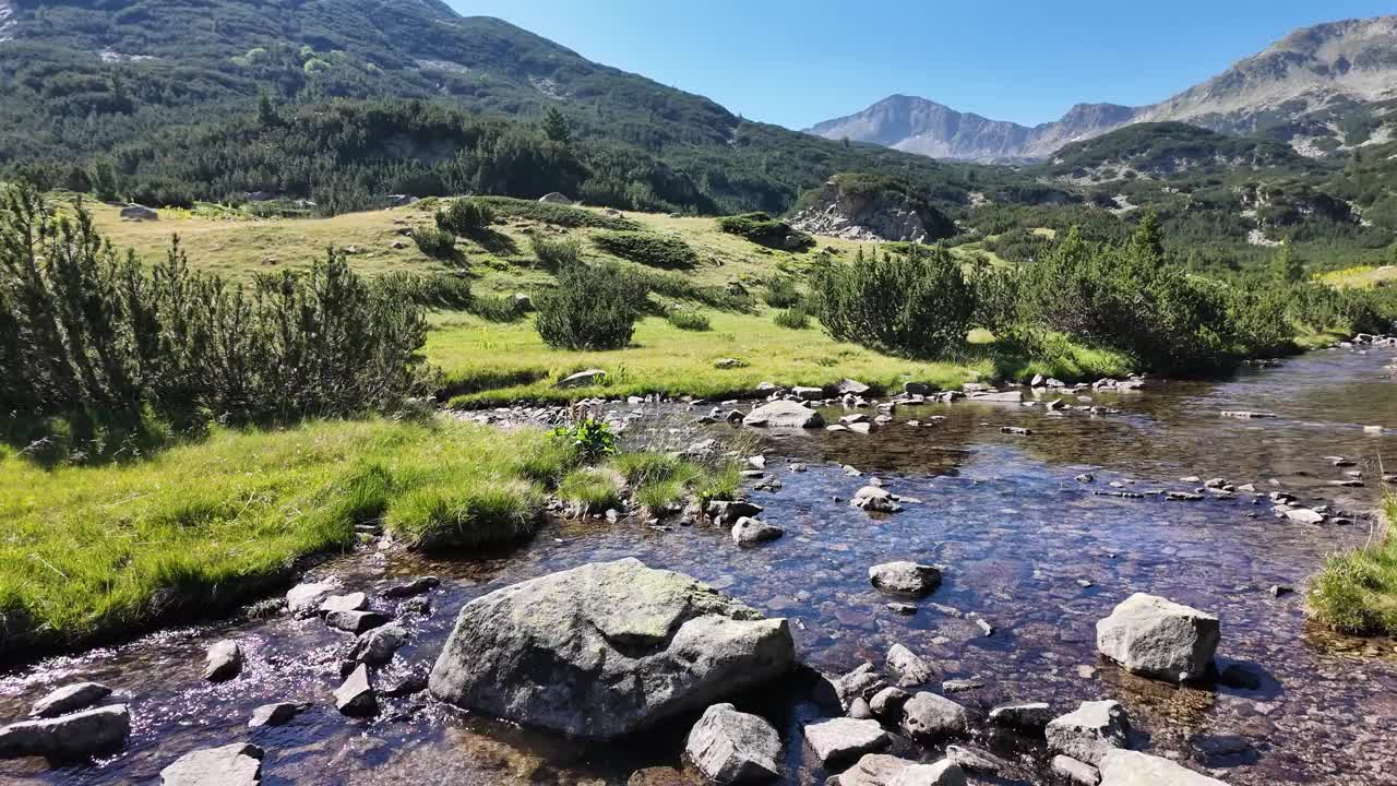 保加利亚皮林山Banderitsa河附近的景观视频下载