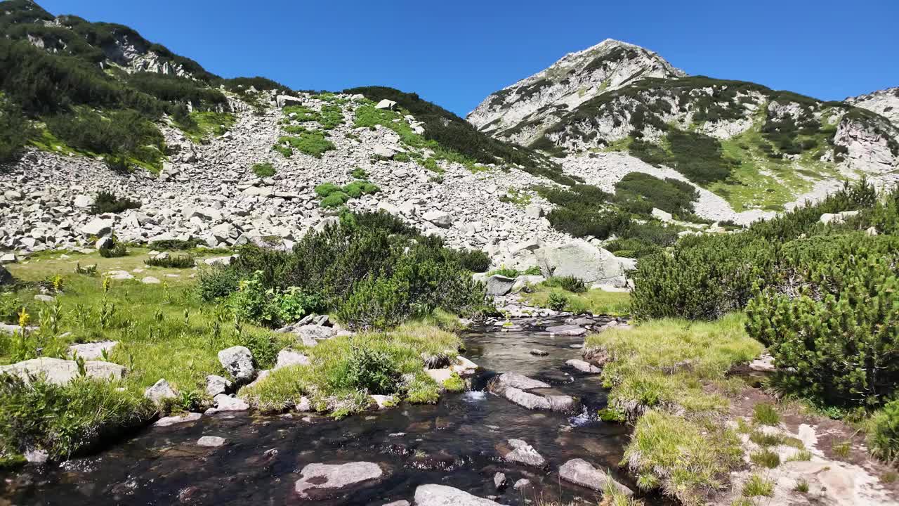 保加利亚皮林山Banderitsa河附近的景观视频素材