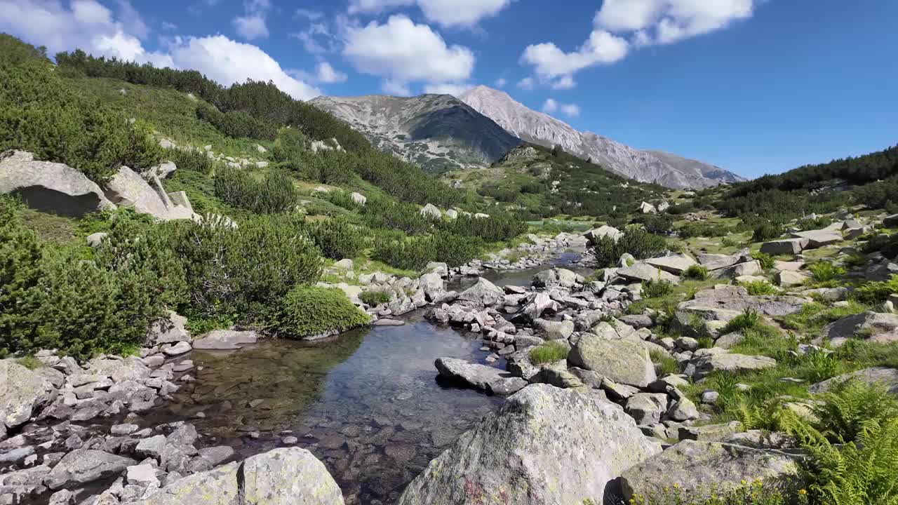 保加利亚皮林山Banderitsa河附近的景观视频下载