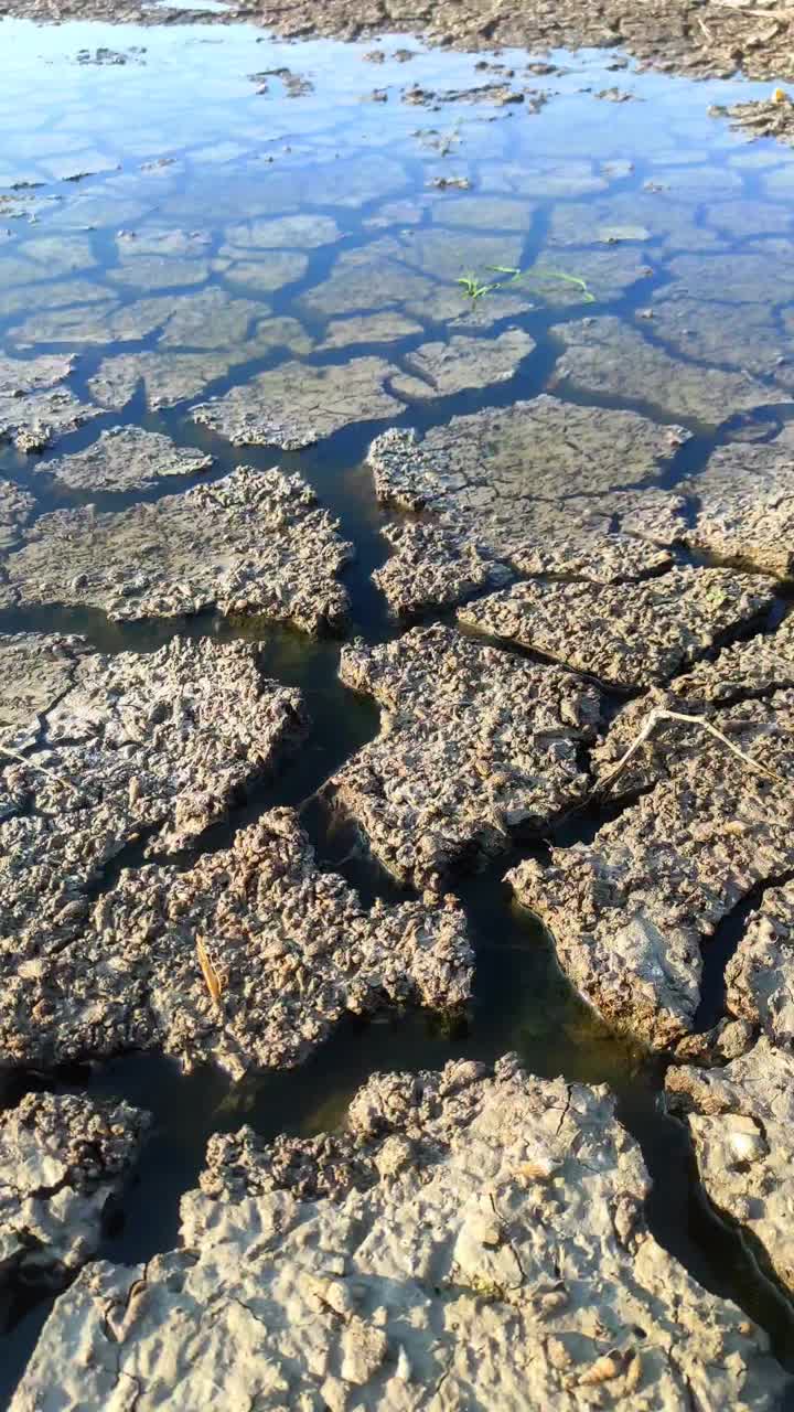 部分浸没在水中的碎裂的泥土图案视频下载