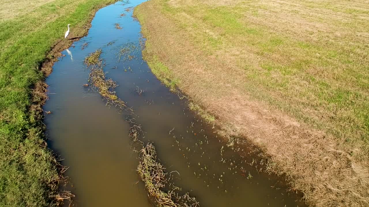 无人机拍摄的排水溪流显示野生动物视频下载