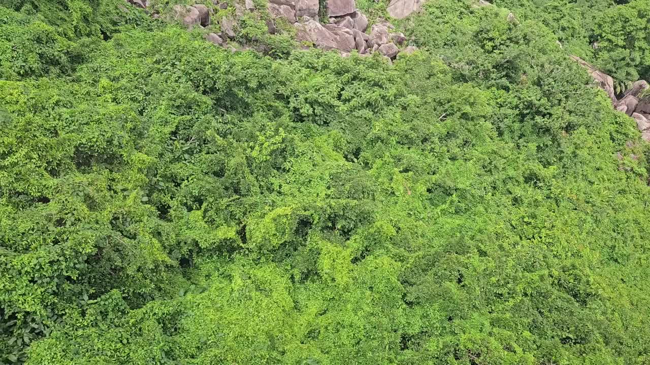 鸟瞰越南德宁巴登山郁郁葱葱的绿色森林。视频素材