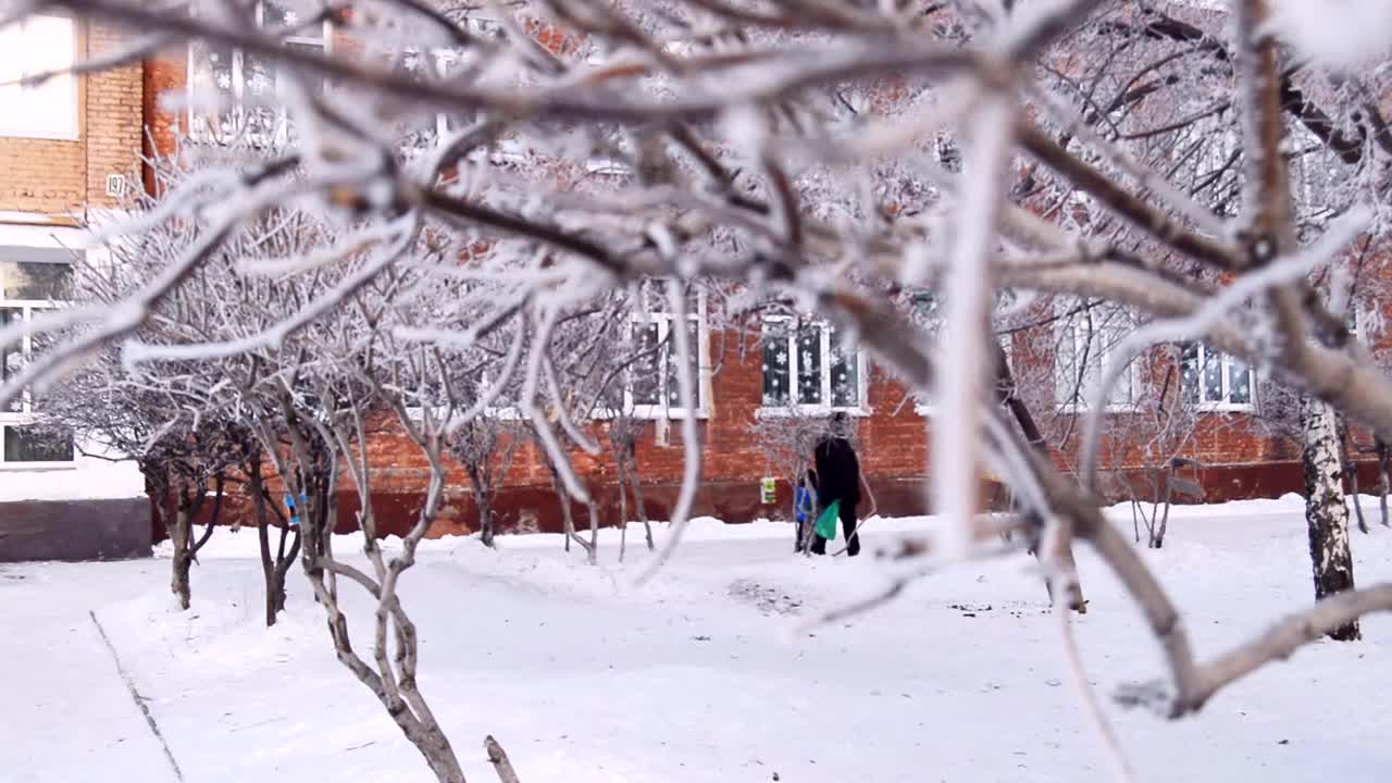 快乐的爷爷带着小孙子走在冬日公园的小路上，透过白雪覆盖的树枝看风景视频下载