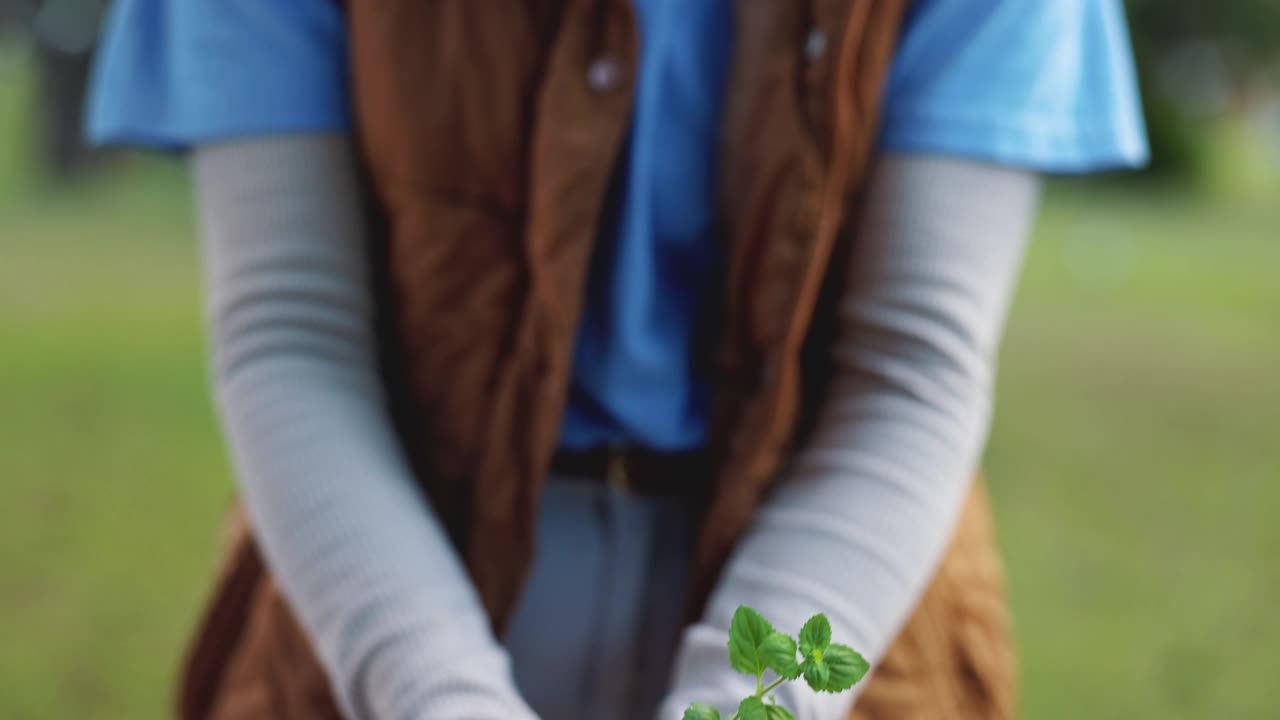 双手，肥料和人与植物在大自然中生态友好，园艺或植物学生长。可持续，土壤和志愿者与绿叶芽在户外公园的慈善和非政府组织项目。视频素材