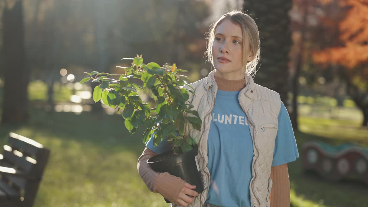 思考，志愿者和妇女与植物在森林为社区服务，项目和园艺。可持续发展，环境和人与大自然的树叶为非政府组织外展，生态友好和生态视频素材