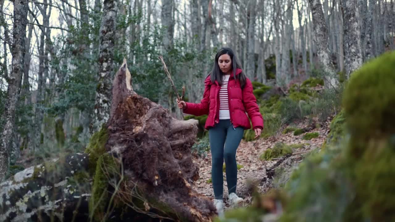 穿着红色大衣的拉丁女人在森林里走，用树枝当拐杖。视频素材