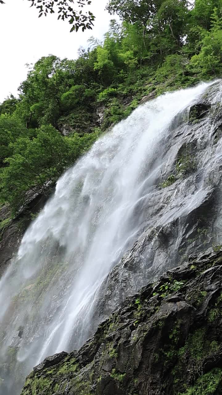 垂直的瀑布视频素材