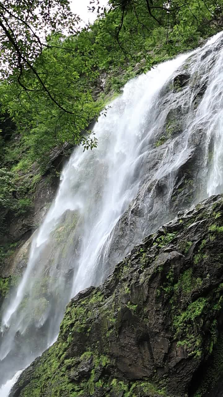 垂直的瀑布视频素材