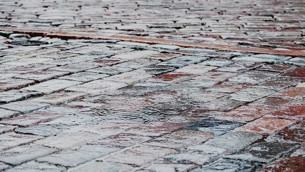 雨滴溅落在石头路面上的特写，突出了潮湿表面的纹理和降雨的温柔节奏。视频下载