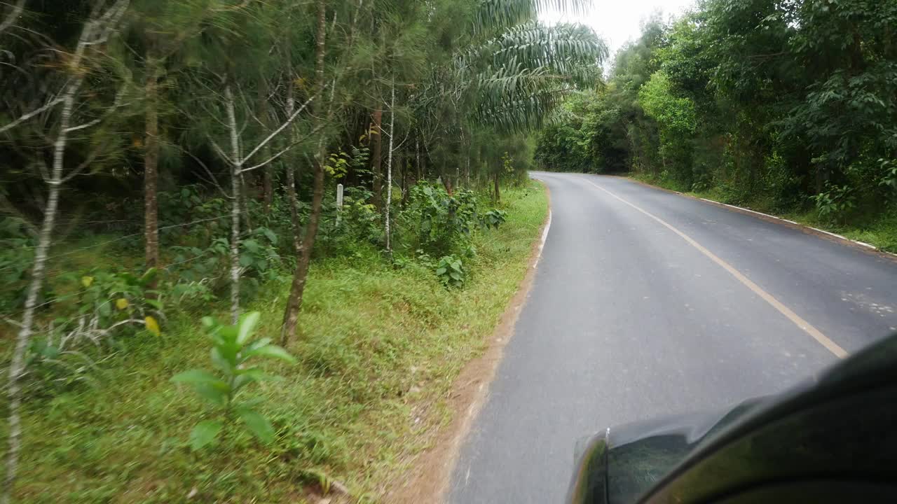 前方从快速行驶的汽车，当驾驶通过当地的街道道路周围的绿色树木森林视频下载