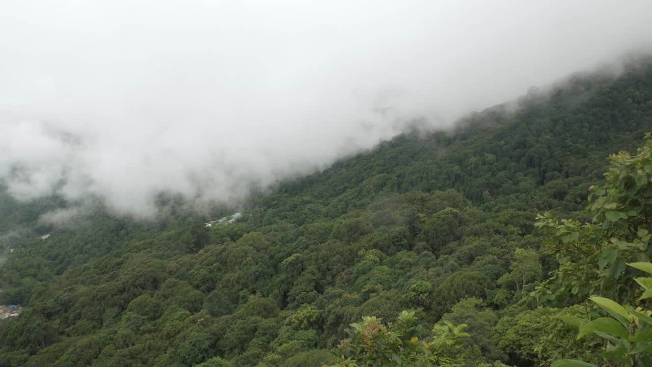 山脉的景色小山与绿色雨林和薄雾云雾风流在冬季白天的山脉视频下载