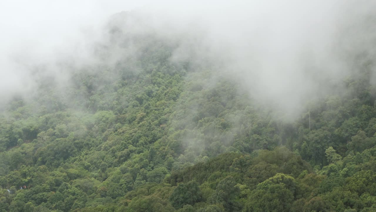 山脉的景色小山与绿色雨林和薄雾云雾风流在冬季白天的山脉视频下载