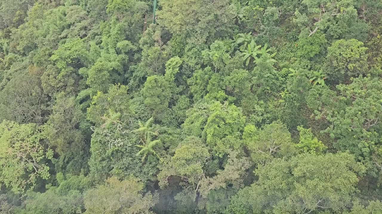 鸟瞰越南德宁巴登山郁郁葱葱的绿色森林。视频下载