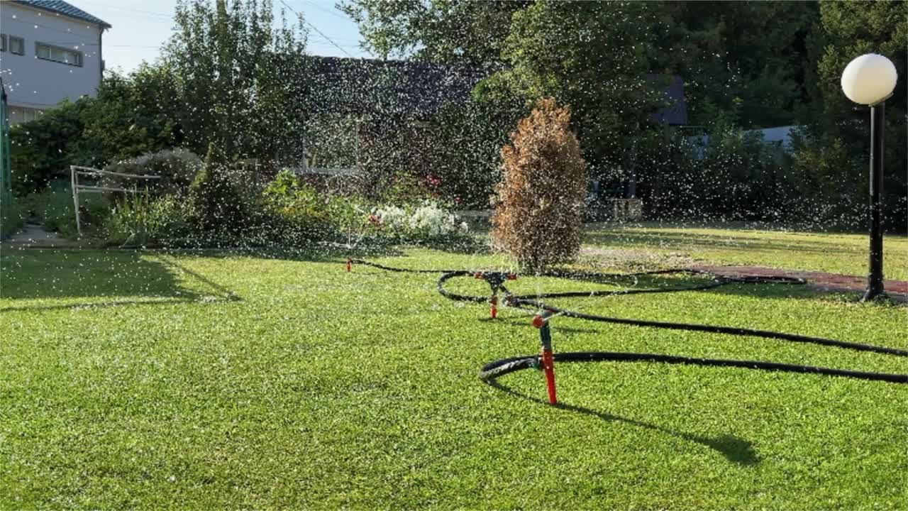 院子里的草坪用喷水器自动浇水。水花在草地上飞舞。视频素材