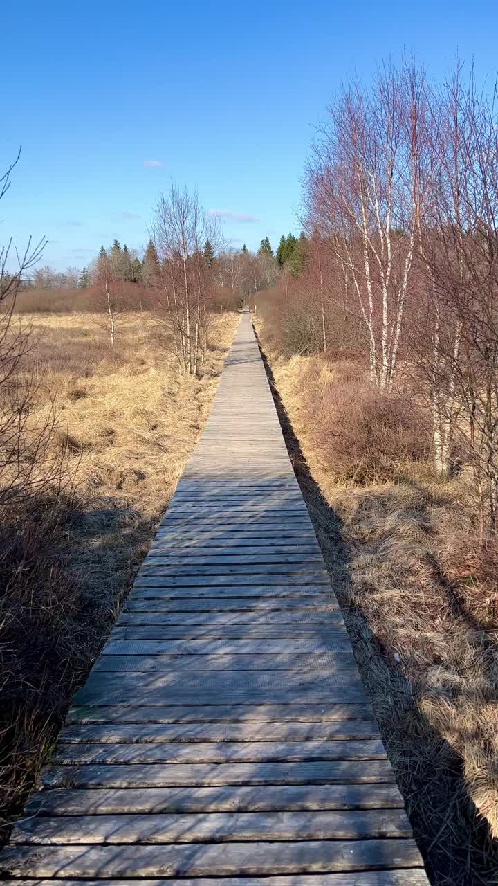 比利时欧本高地美丽风景中的木板路视频下载