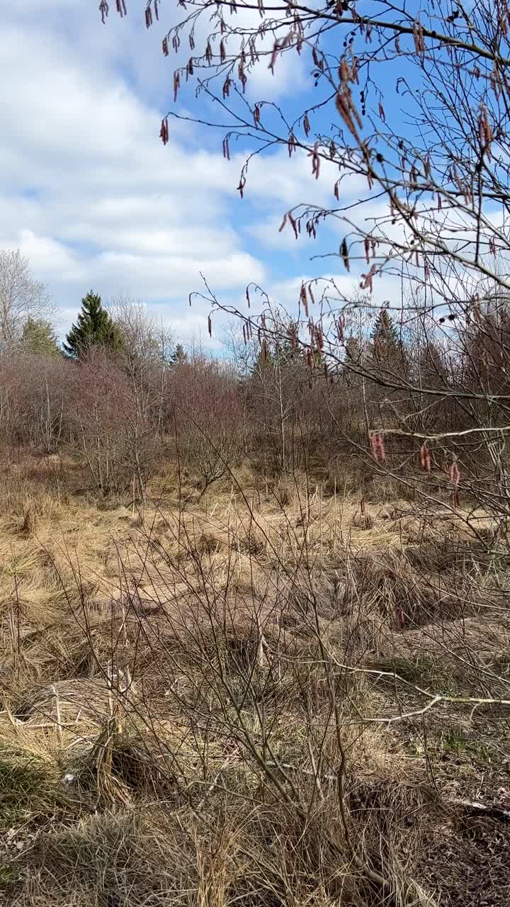 比利时欧洲高地的美丽风景视频素材