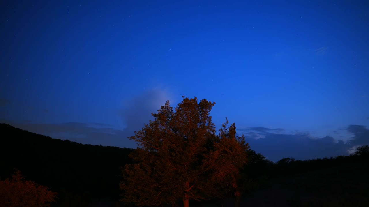 一个宁静宁静的黄昏场景，美丽地展示了树木的剪影，映衬着深蓝色的天空视频下载