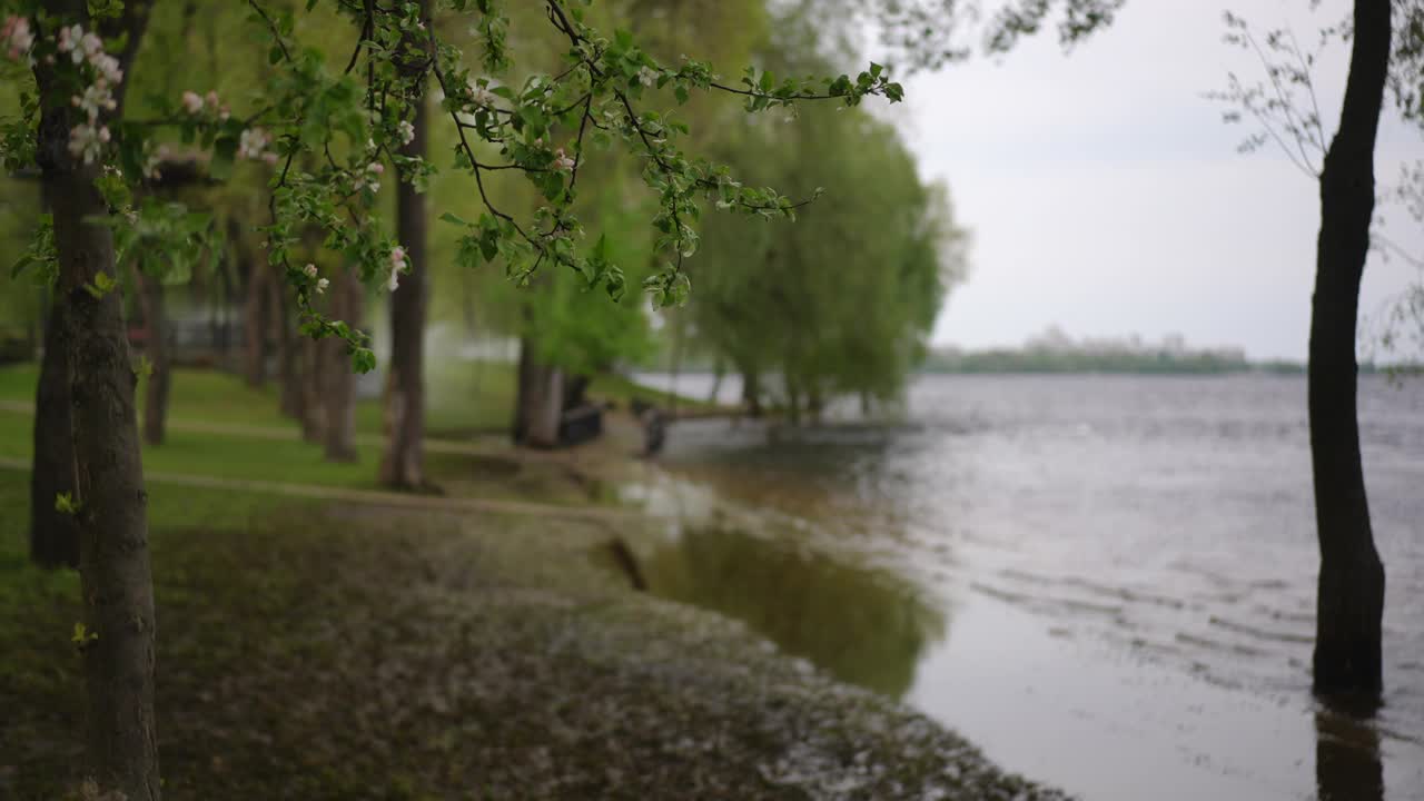 一个宁静宁静的湖畔景色，周围环绕着郁郁葱葱的绿色植物和大自然的美丽视频素材