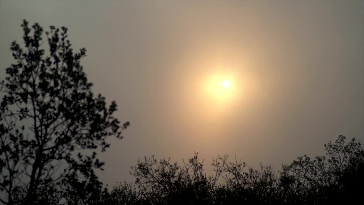 太阳在雾的背后，在户外视频下载