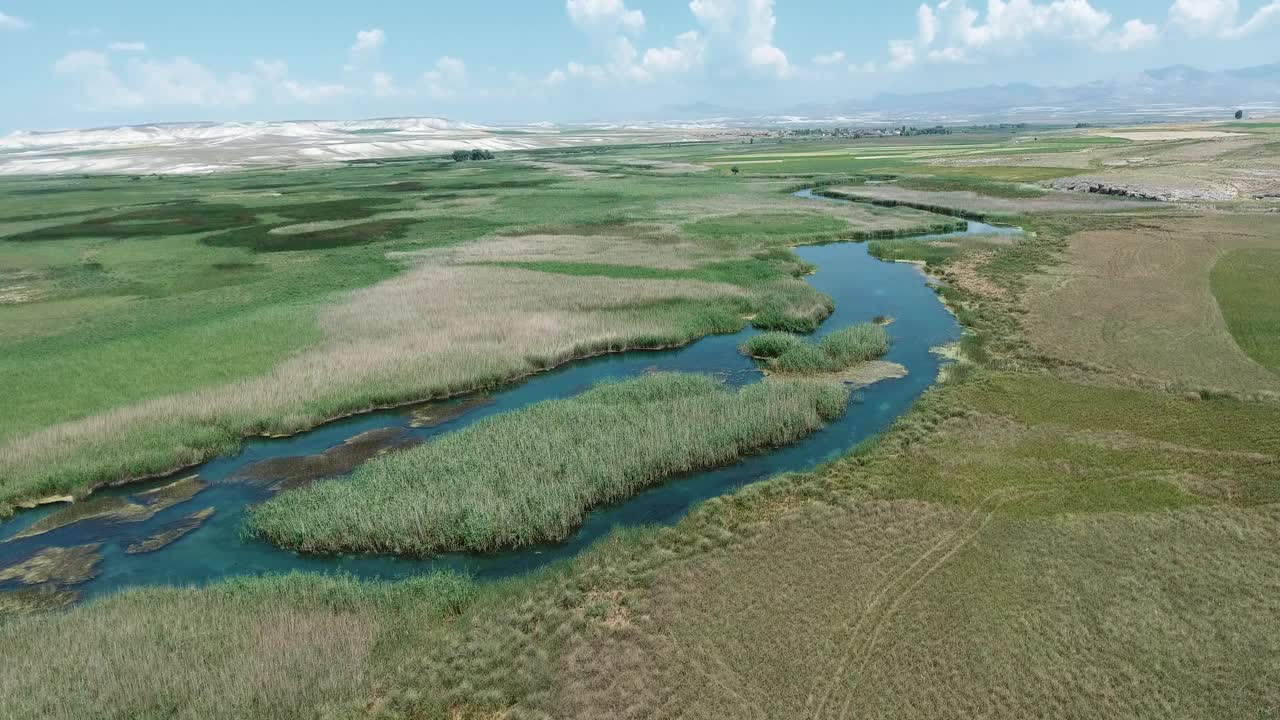 一条平静的河流在绿树和田野之间视频下载