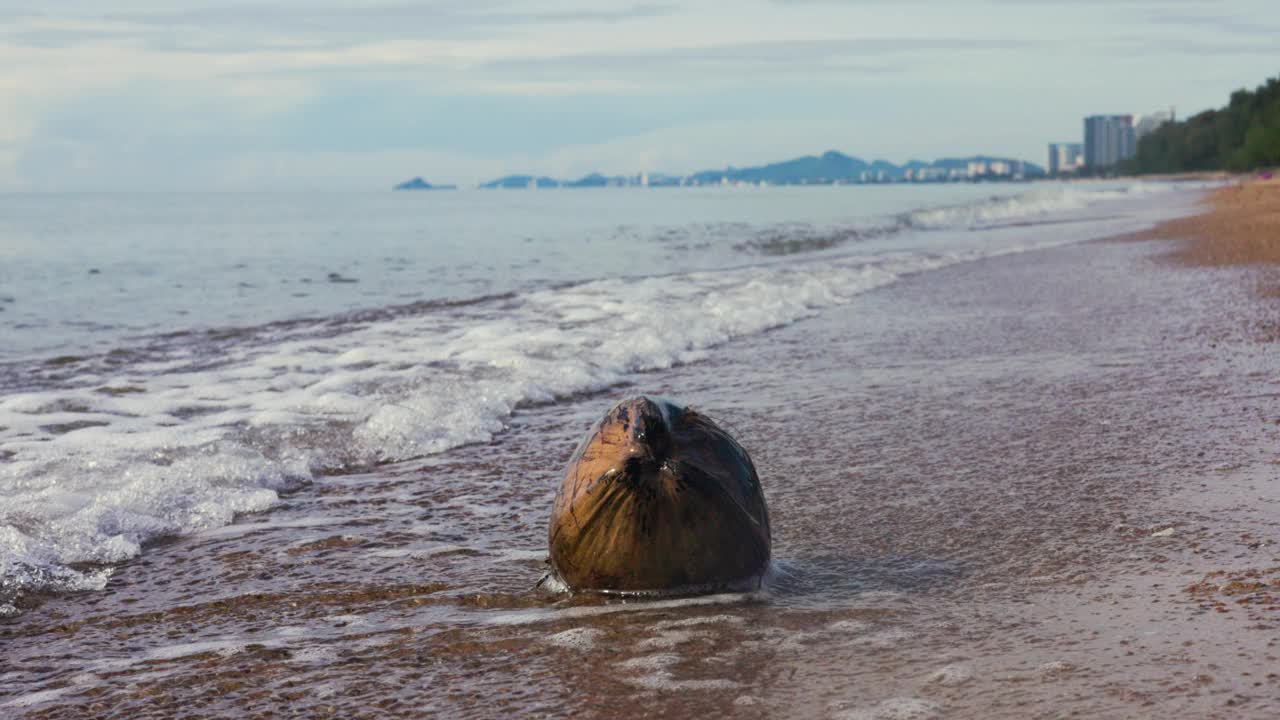 热带海岸的污染视频素材