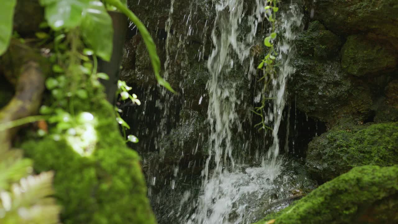 花园里的小瀑布流淌着绿色的植物。视频下载