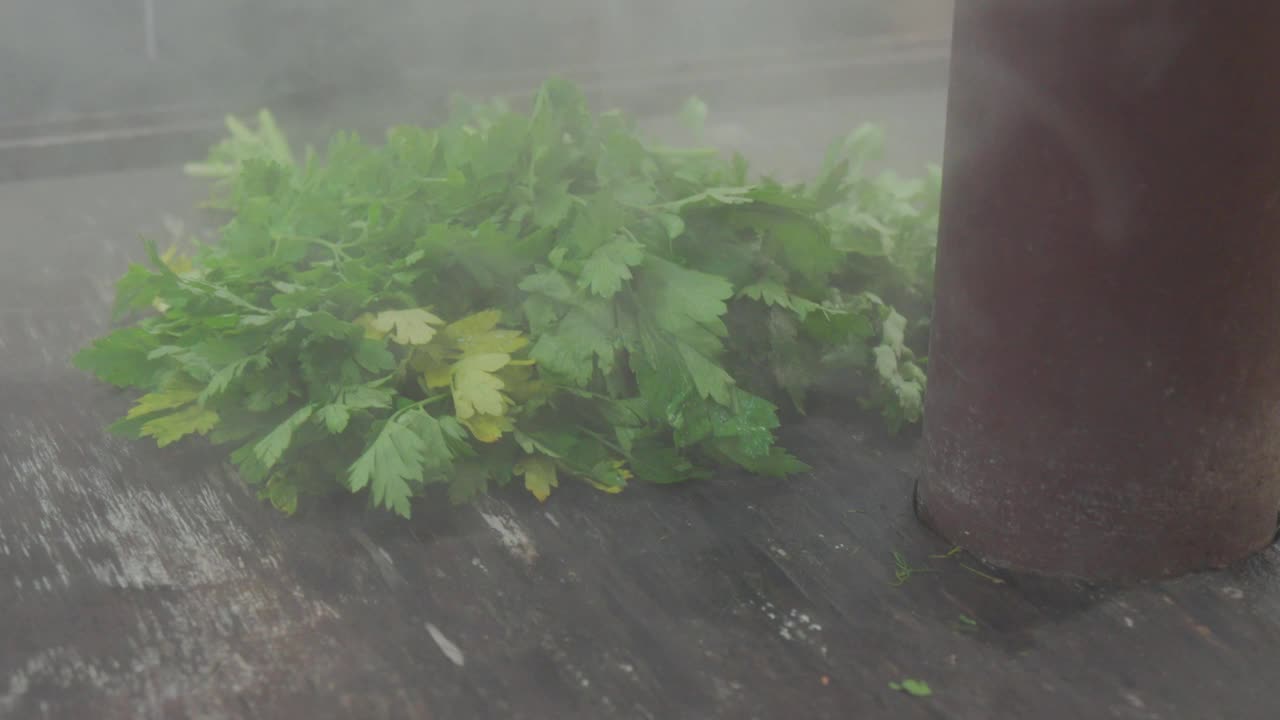 一束新鲜的草药放在木头表面上，它们正在被切碎。充满活力的绿色亮点视频下载