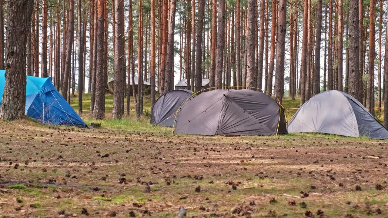 夏季登山营的帐篷搭在针叶林的树上视频下载