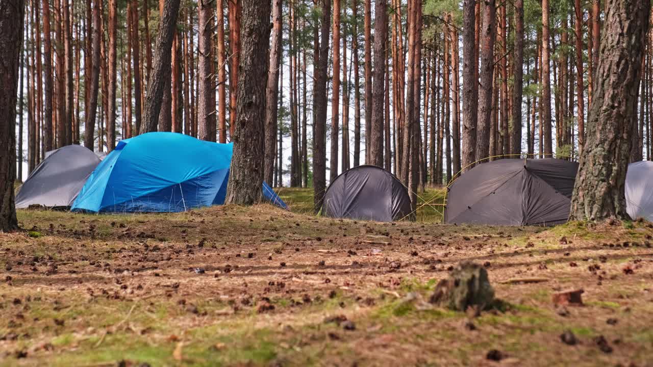 夏季登山营的帐篷搭在针叶林的树上视频下载