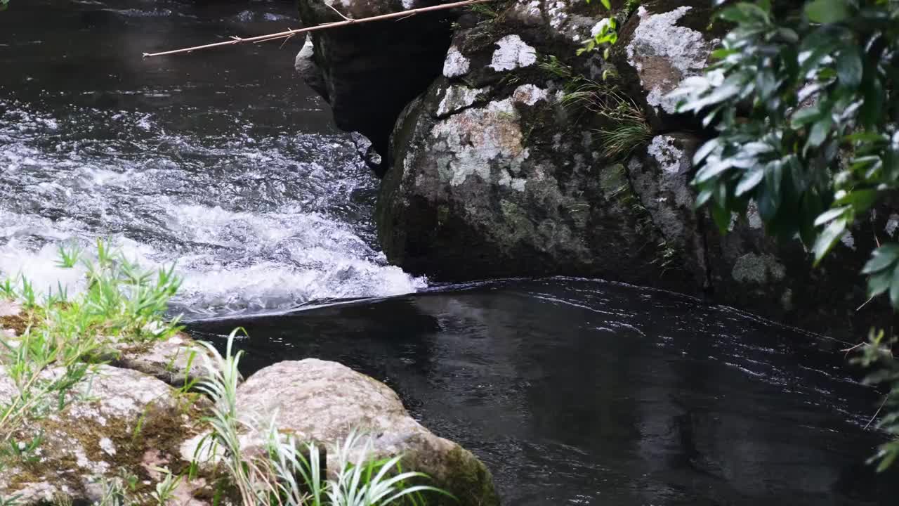 一条河流从山上流下的风景视频下载