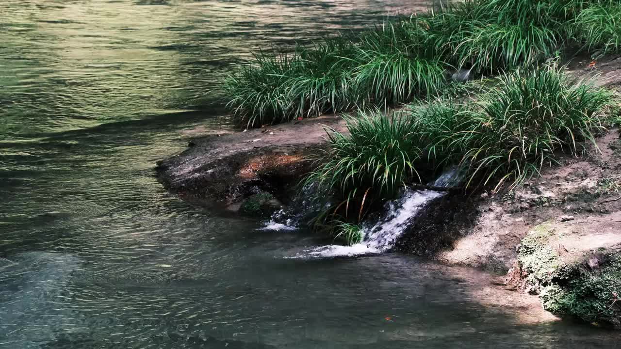 河流的自然风光，泉水流淌视频下载