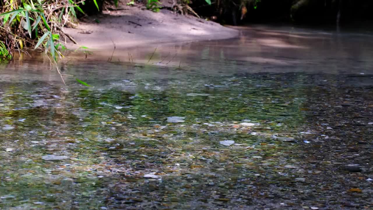 大出水的泉水，那里有一条清澈美丽的河流视频下载