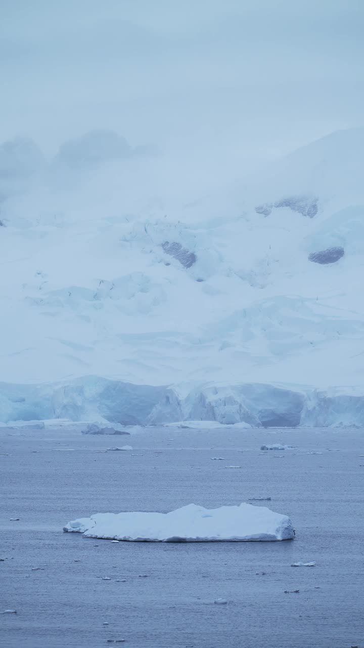 冰川和冰在南极风景，南极半岛景观和自然与冬季海水和海冰在社交媒体，Instagram Reels和抖音垂直视频视频素材